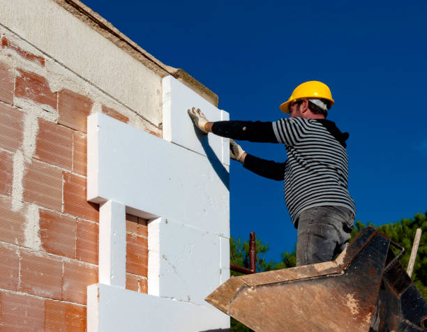 Best Specialty Insulation in Adelphi, MD